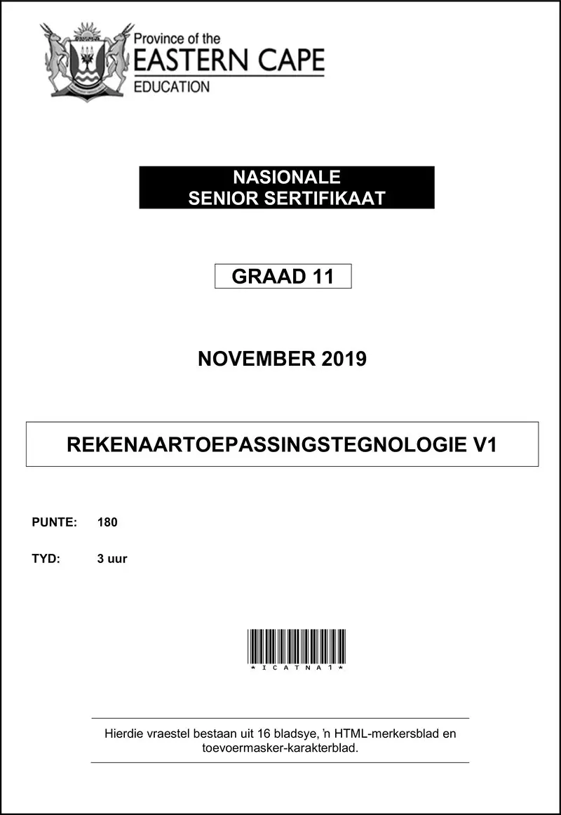 Grade 11 Rekenaartoepassingstegnologie past paper 2019 – cat p1 qp gr11 nov 2019 afrik