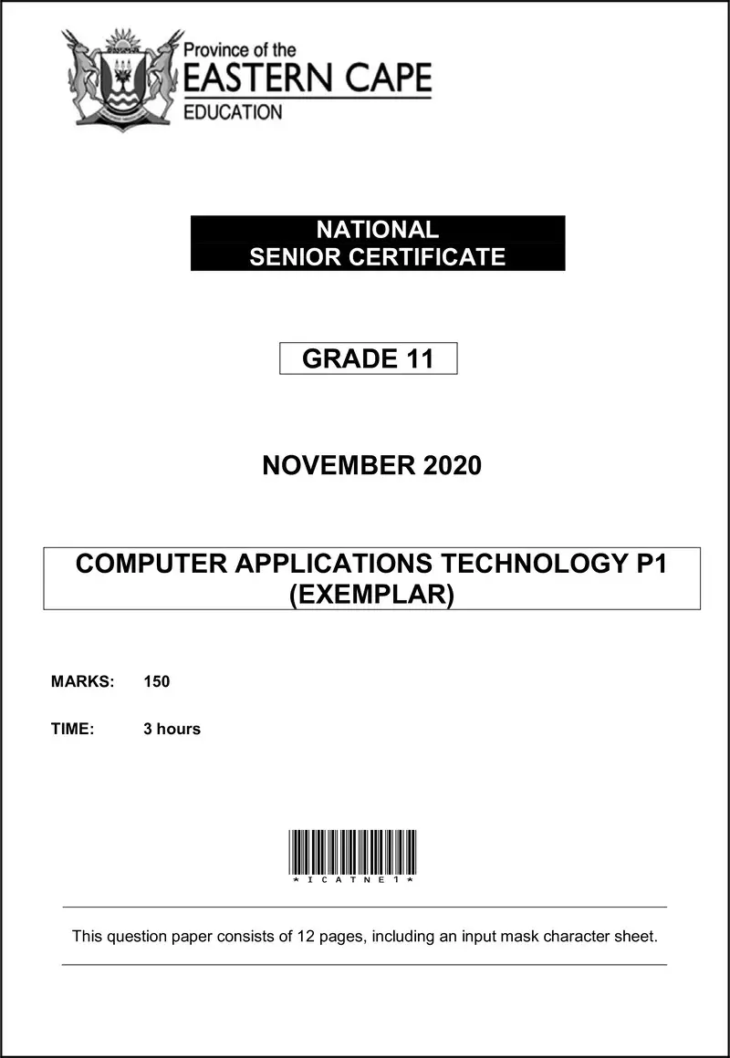 Grade 11 Computer Applications Technology past paper 2020 – cat p1 qp memo gr11 nov 2020 eng d
