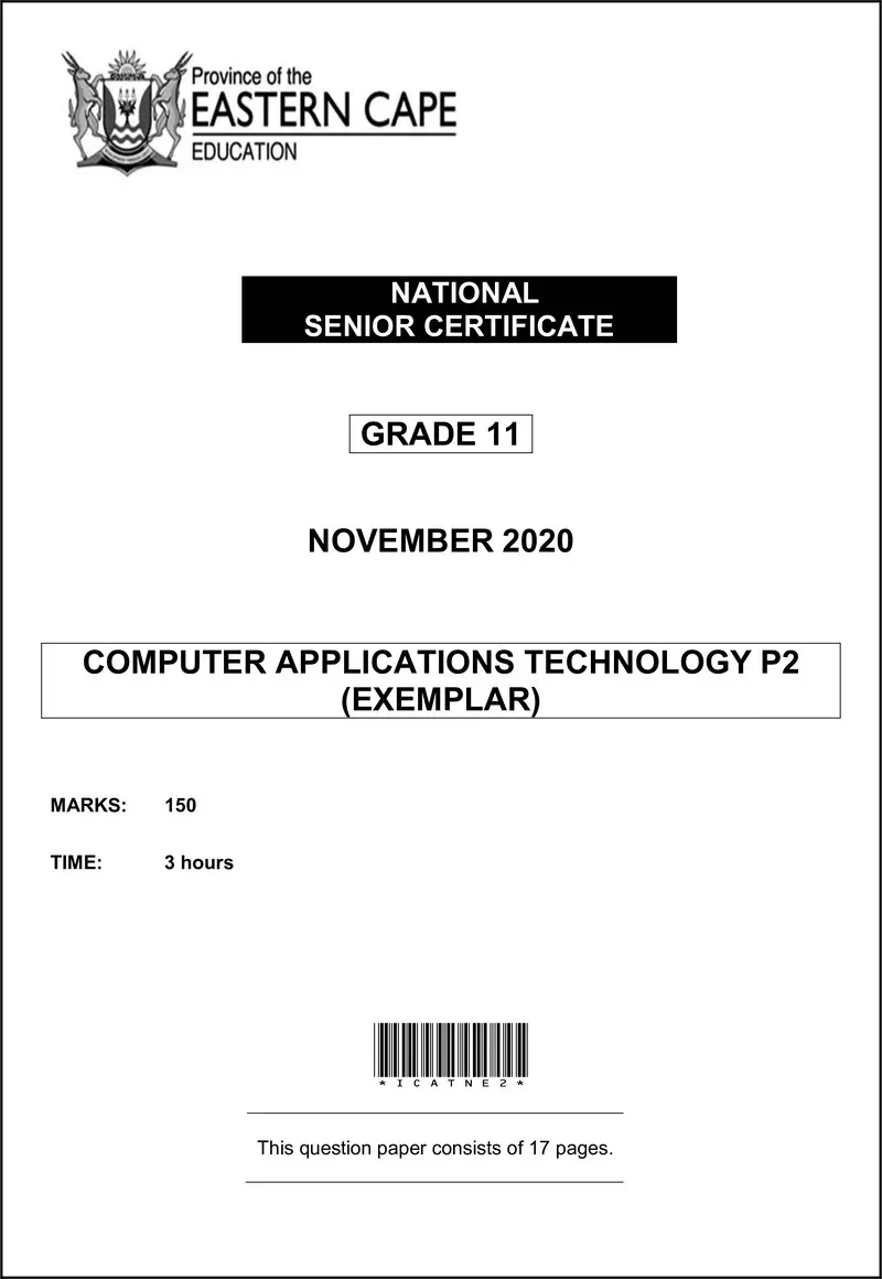 Grade 11 Computer Applications Technology past paper 2020 – cat p2 gr11 qp memo nov2020 eng d