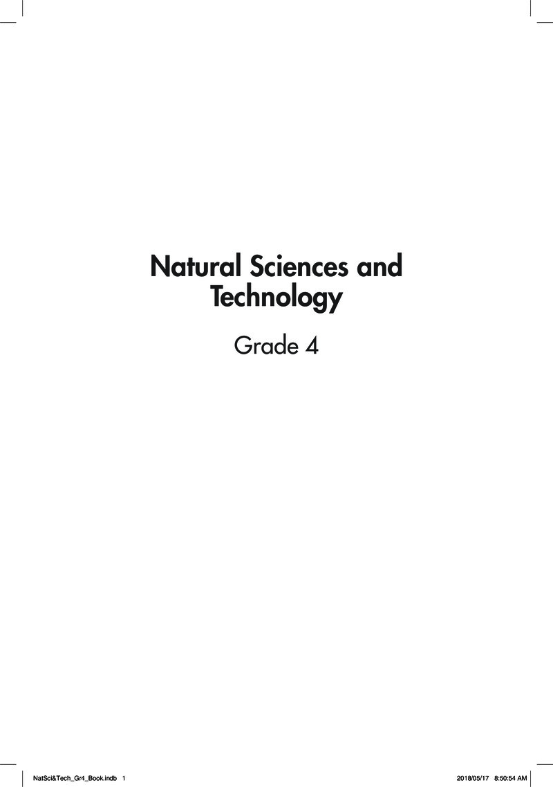 Natsci Tech Learner Book Grade 4