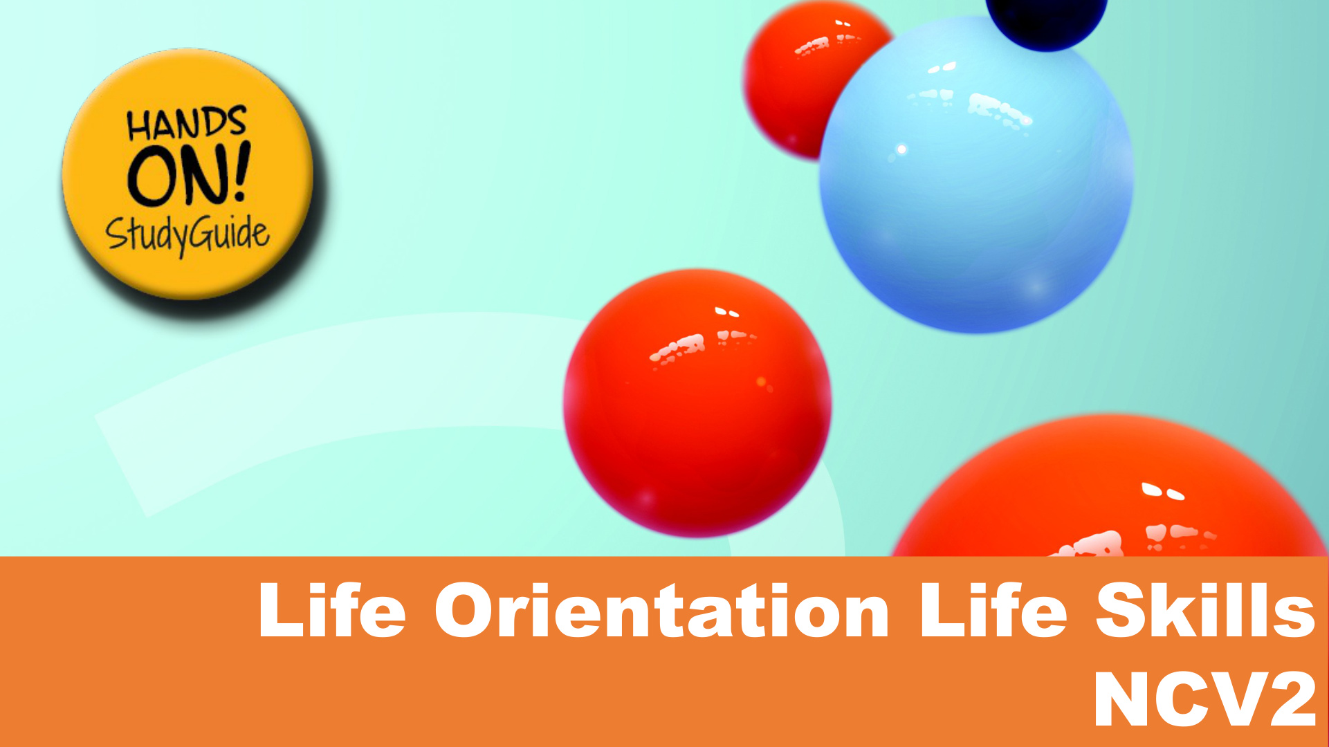 Life Orientation Level 2 DHET NCV 2023 - Study Guide