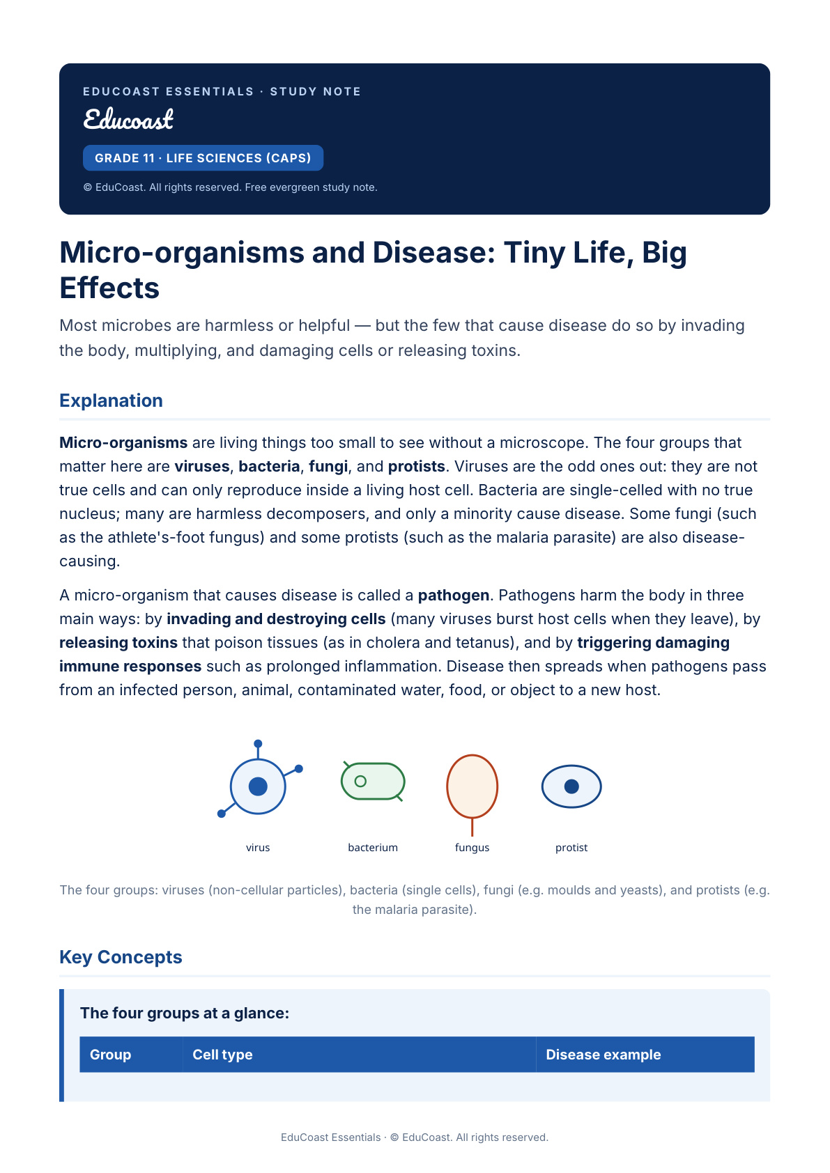 Micro-Organisms And Disease — Grade 11 Life Sciences (Caps)