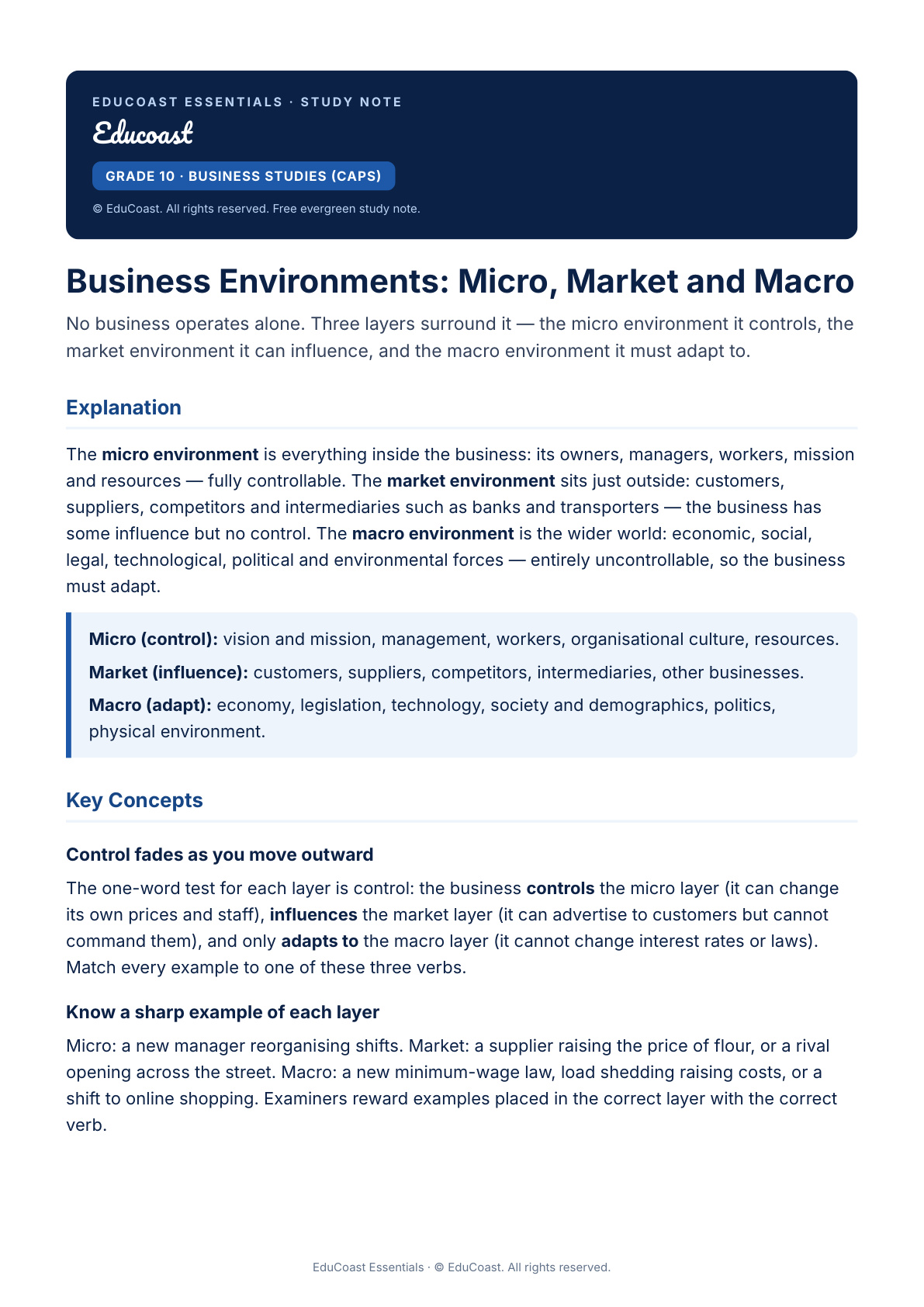 Business Environments — Grade 10 Business Studies (CAPS)
