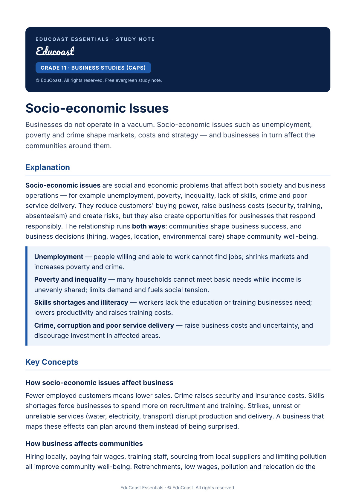 Socio-economic Issues — Grade 11 Business Studies (CAPS)
