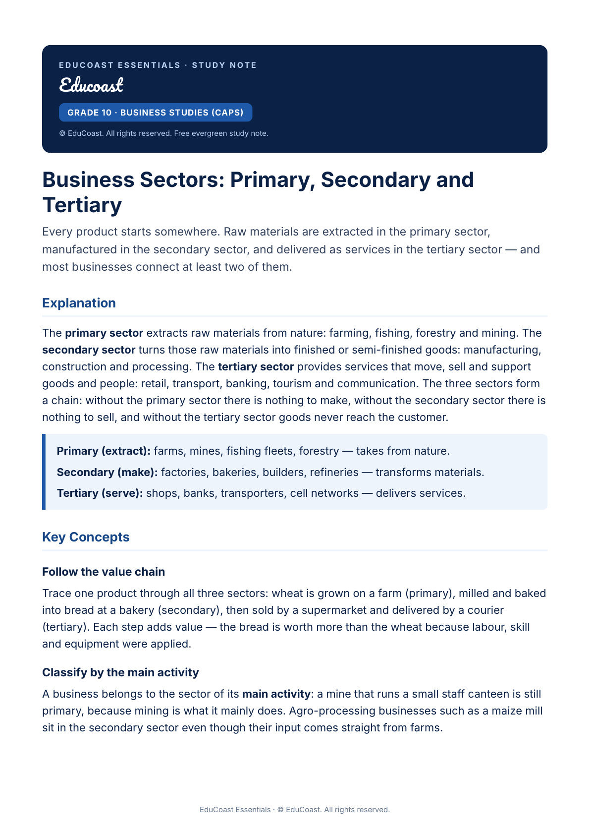 Business Sectors — Grade 10 Business Studies (CAPS)