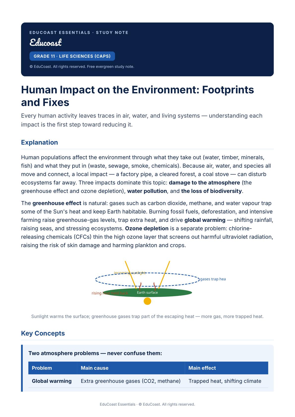 Human Impact On Environment — Grade 11 Life Sciences (Caps)