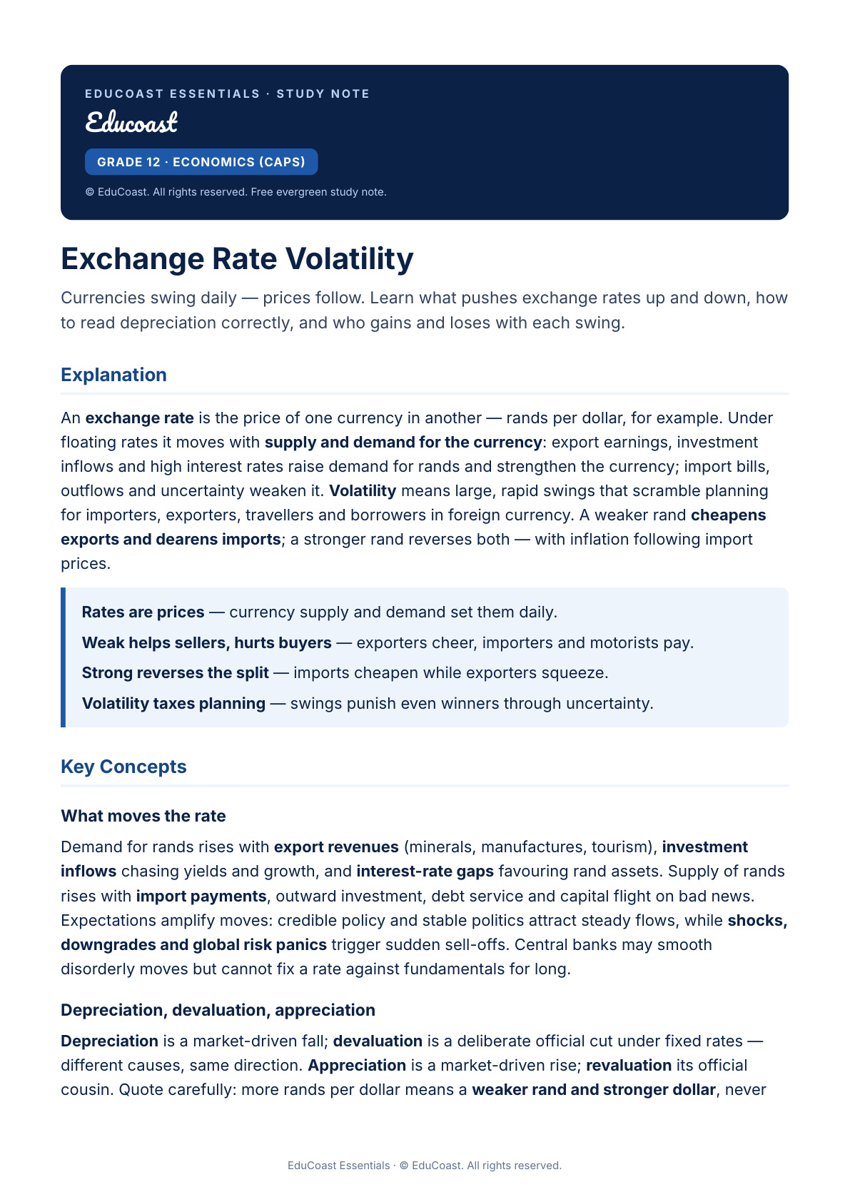 Exchange Volatility — Grade 12 Economics (CAPS)