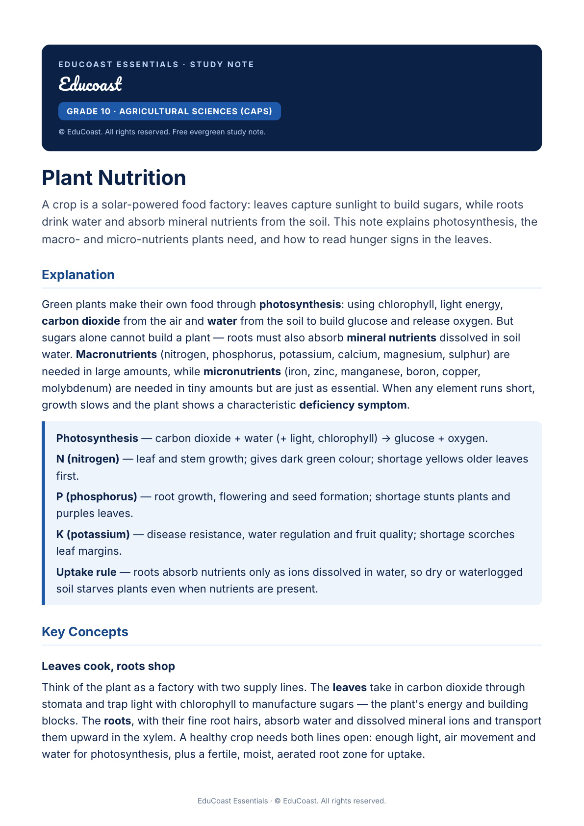 Plant Nutrition — Grade 10 Agricultural Sciences (CAPS)