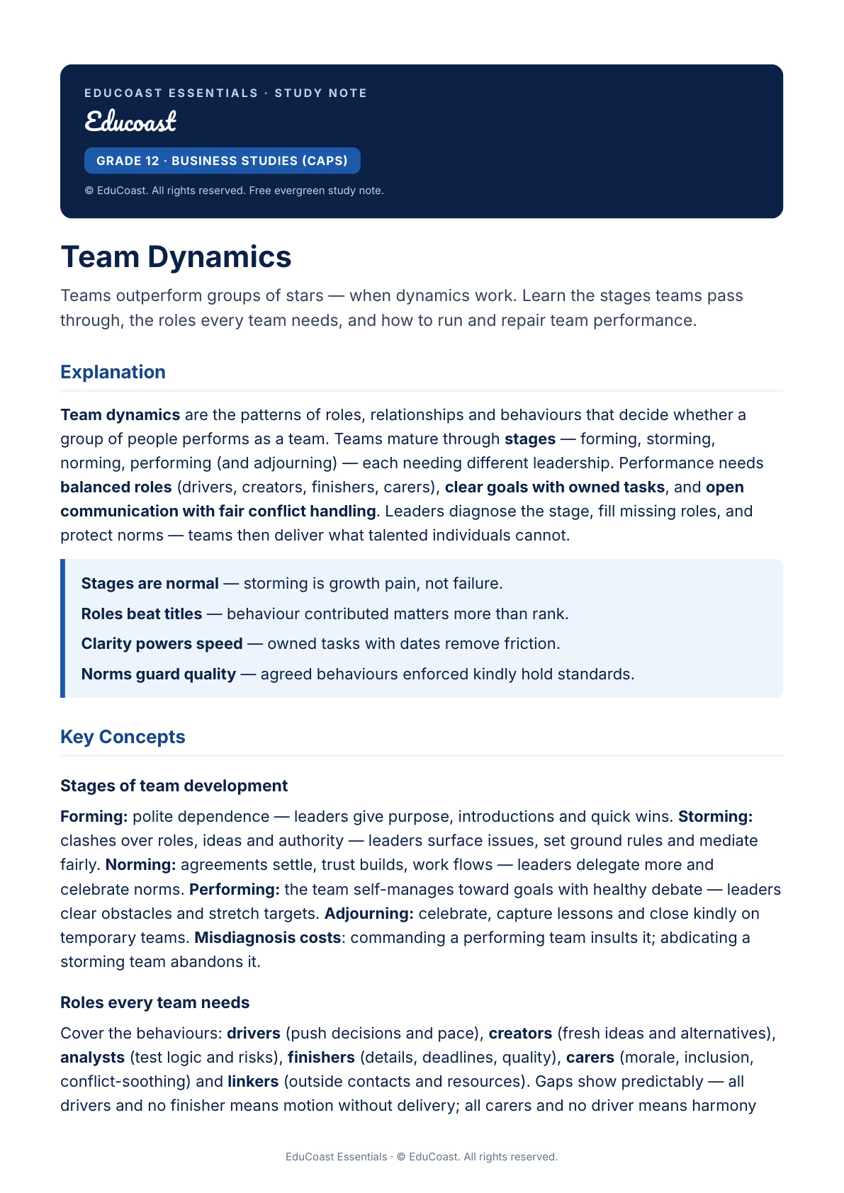 Team Dynamics — Grade 12 Business Studies (Caps)