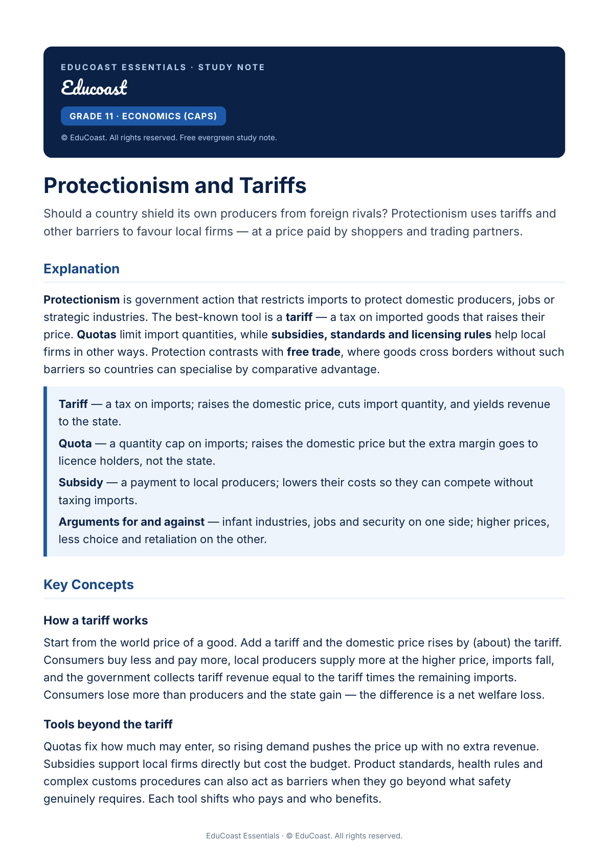 Protectionism — Grade 11 Economics (CAPS)