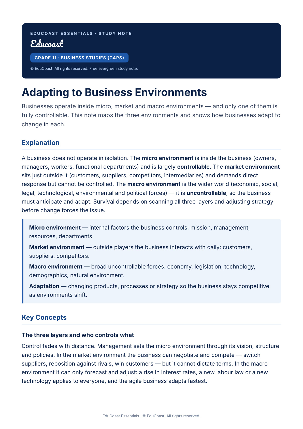 Adapting Environments — Grade 11 Business Studies (CAPS)