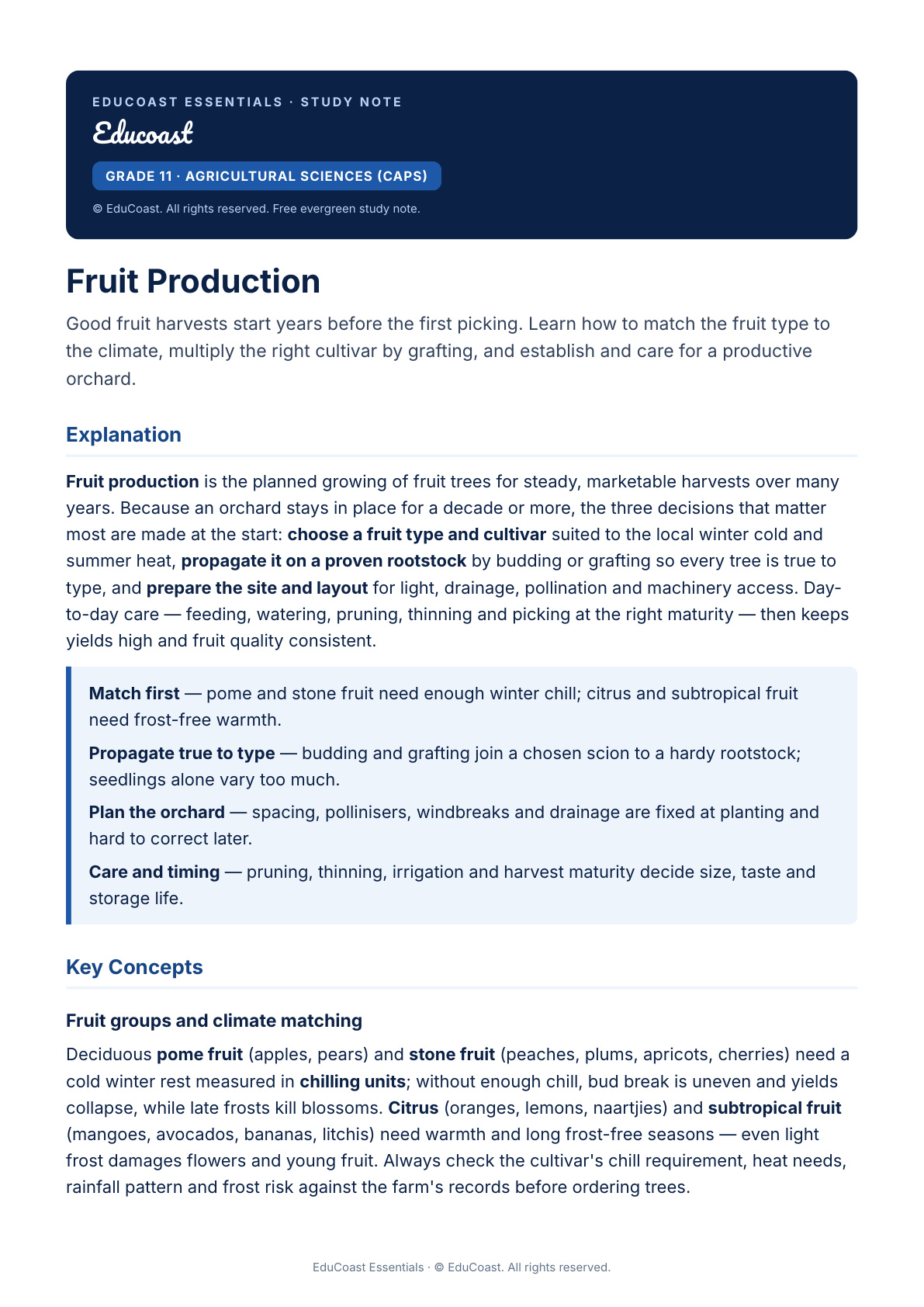 Fruit — Grade 11 Agricultural Sciences (Caps)
