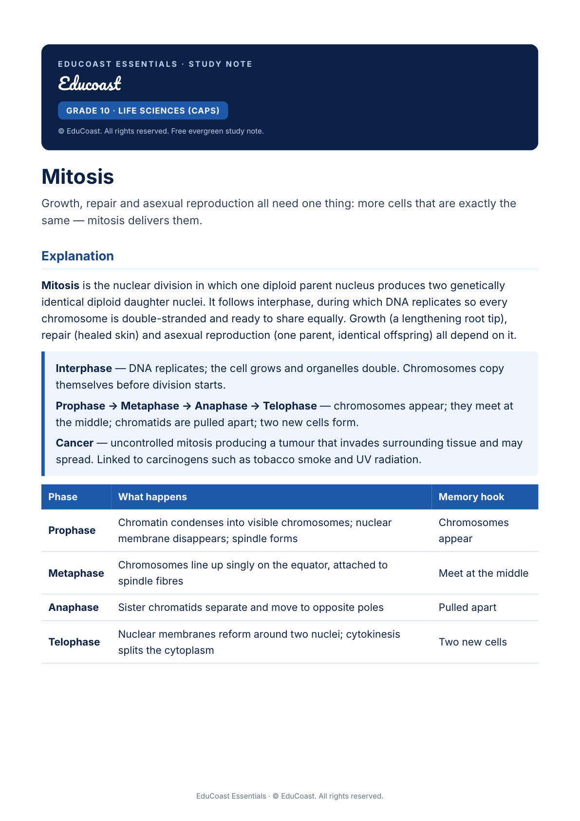 Mitosis — Grade 10 Life Sciences (Caps)