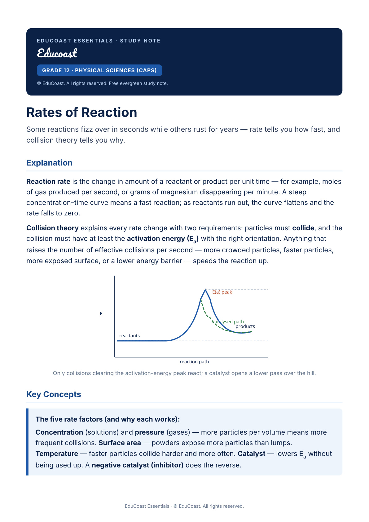 Rates Of Reaction — Grade 12 Physical Sciences (Caps)