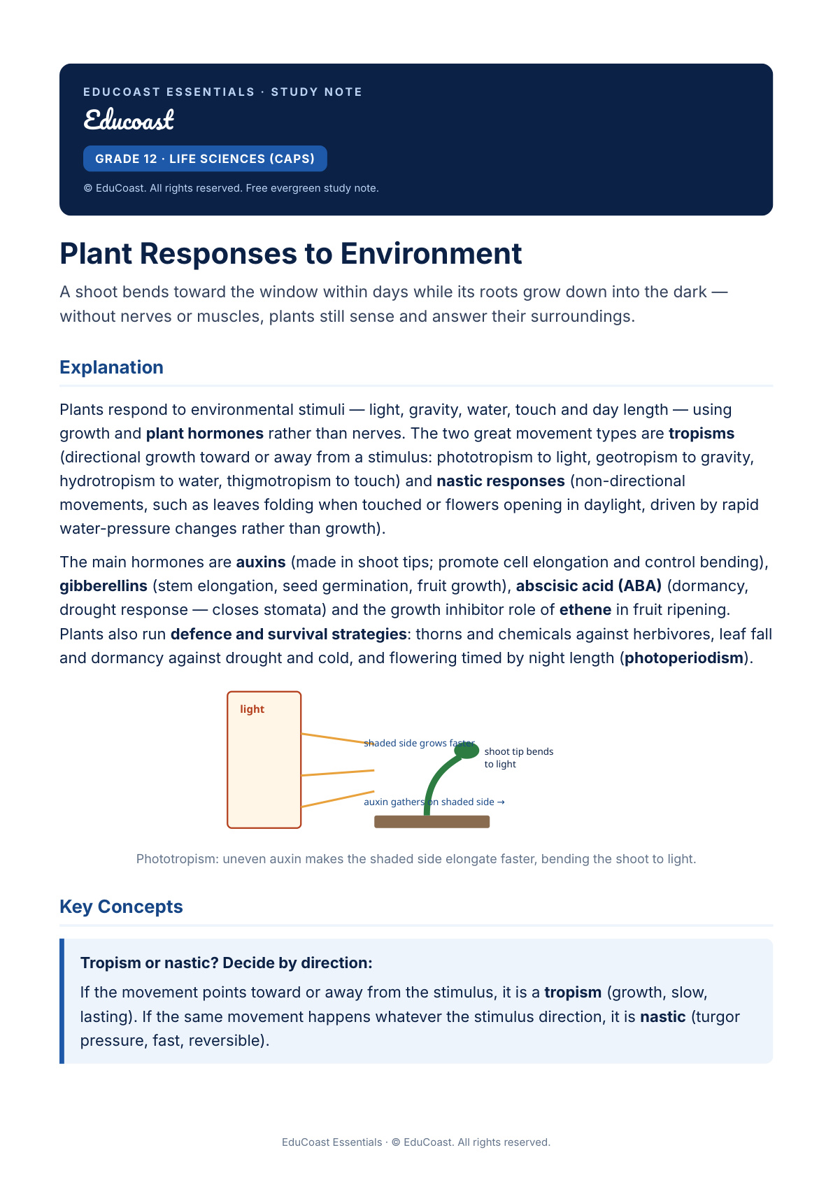 Plant Responses To Environment — Grade 12 Life Sciences (Caps)