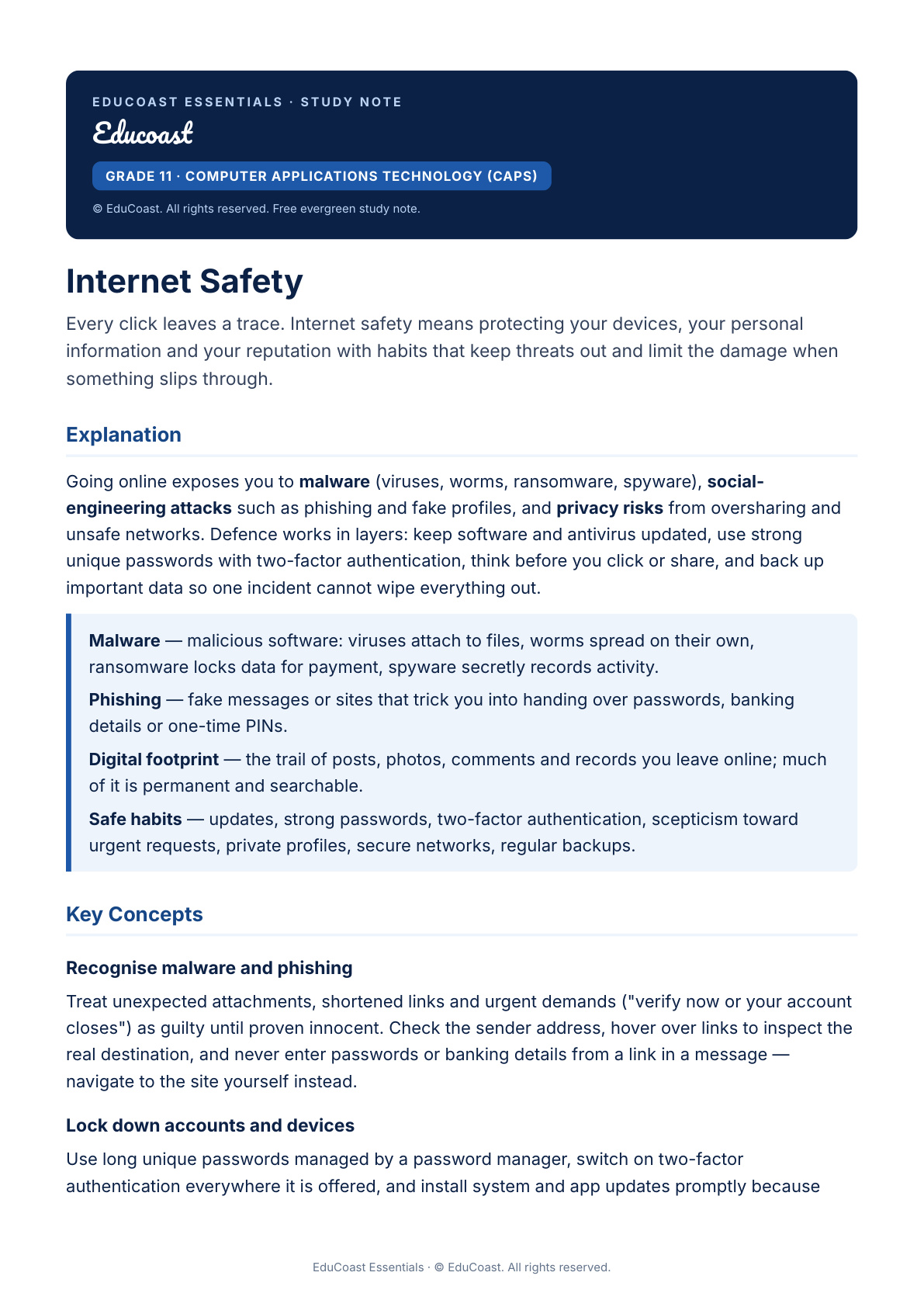 Internet Safety — Grade 11 Cat (Caps)