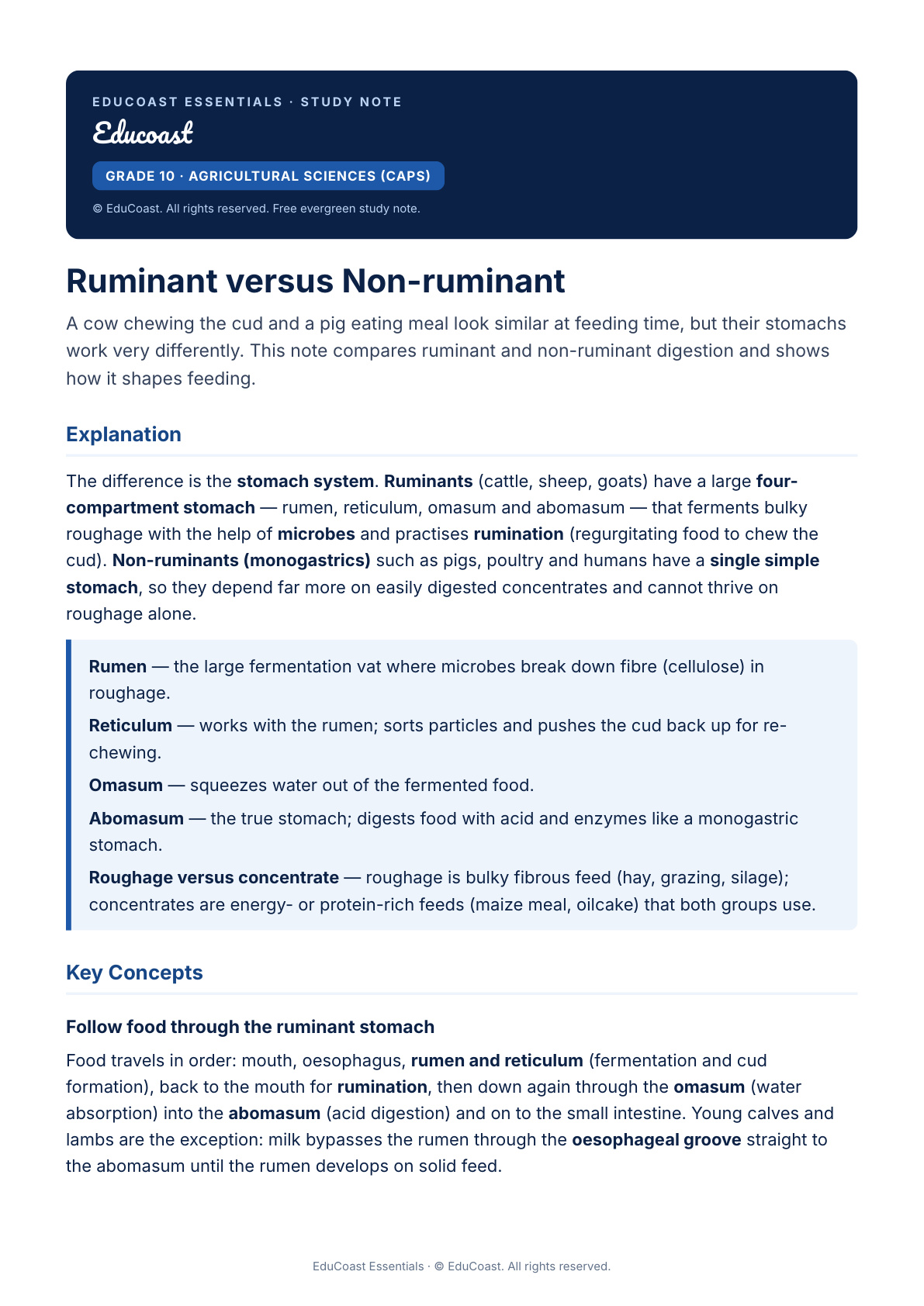 Ruminants — Grade 10 Agricultural Sciences (CAPS)