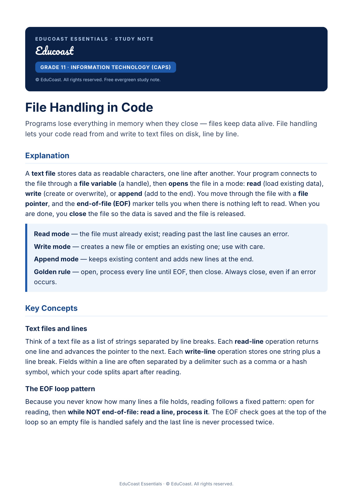 File Handling — Grade 11 It (Caps)
