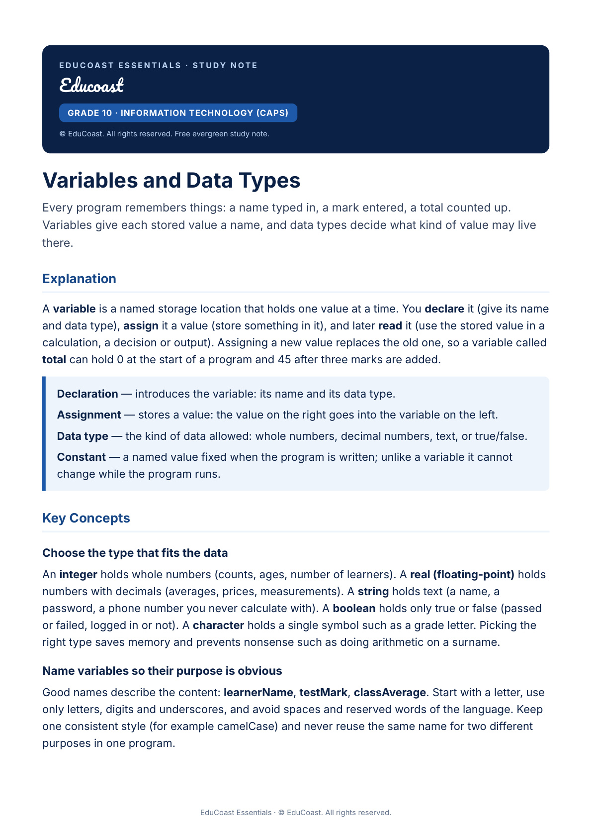 Variables and Data Types — Grade 10 IT (CAPS)
