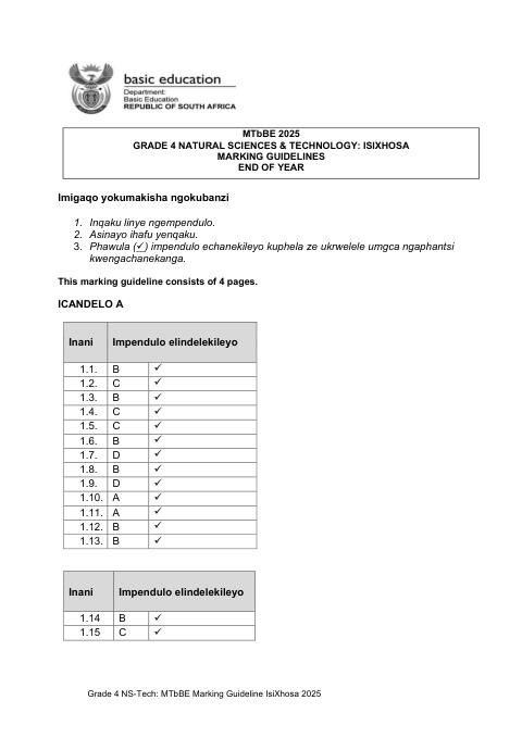 Natural Sciences and Technology Grade 4 DBE CAPS November 2025 - Memo (Eastern Cape)