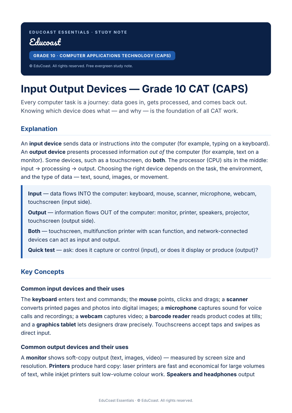 Input Output Devices — Grade 10 CAT (CAPS)