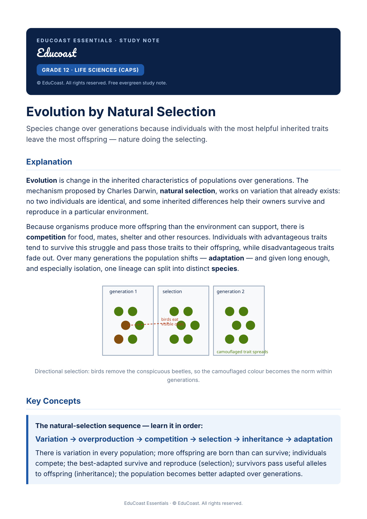 Evolution By Natural Selection — Grade 12 Life Sciences (Caps)