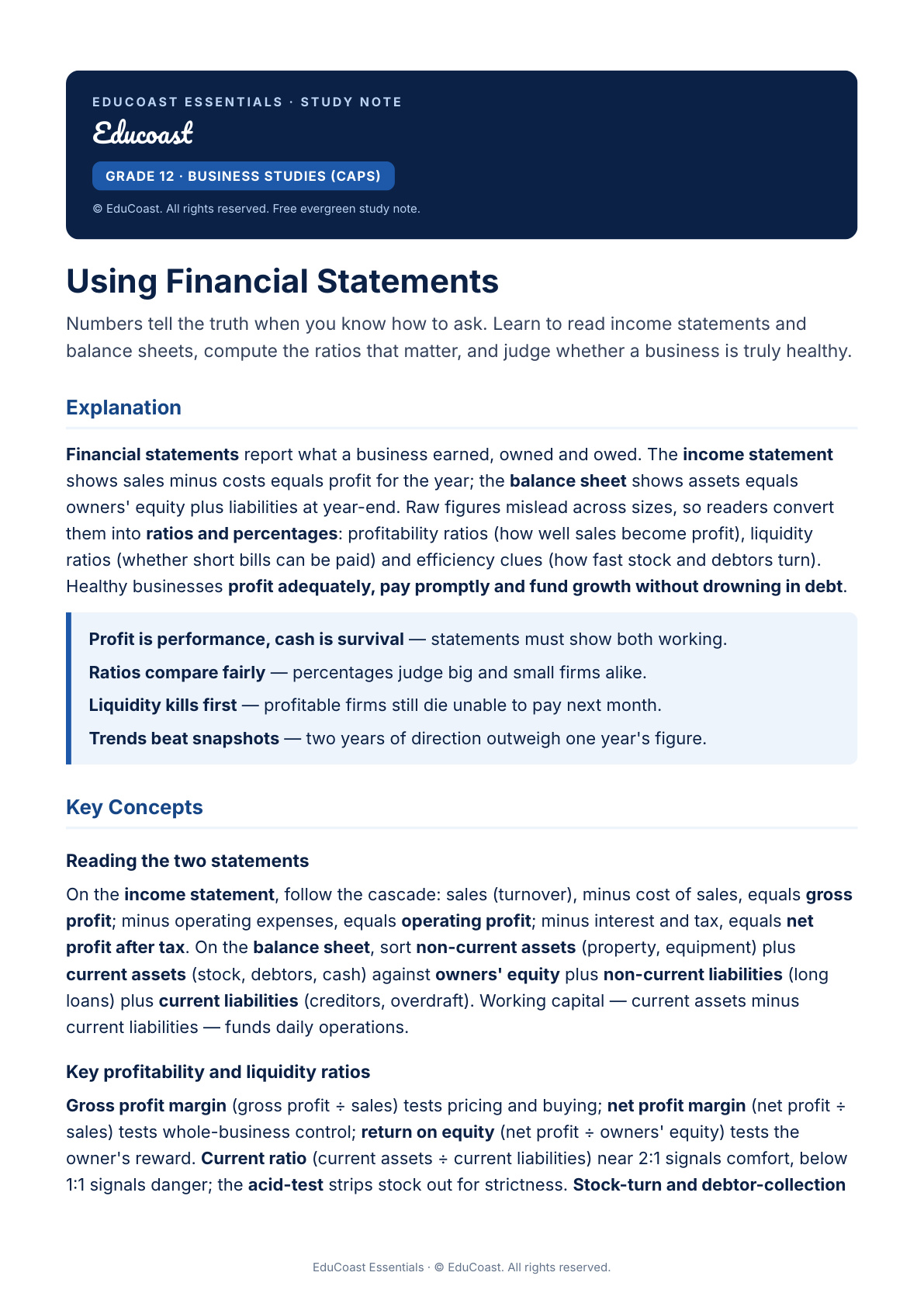 Financial Statements Use — Grade 12 Business Studies (Caps)