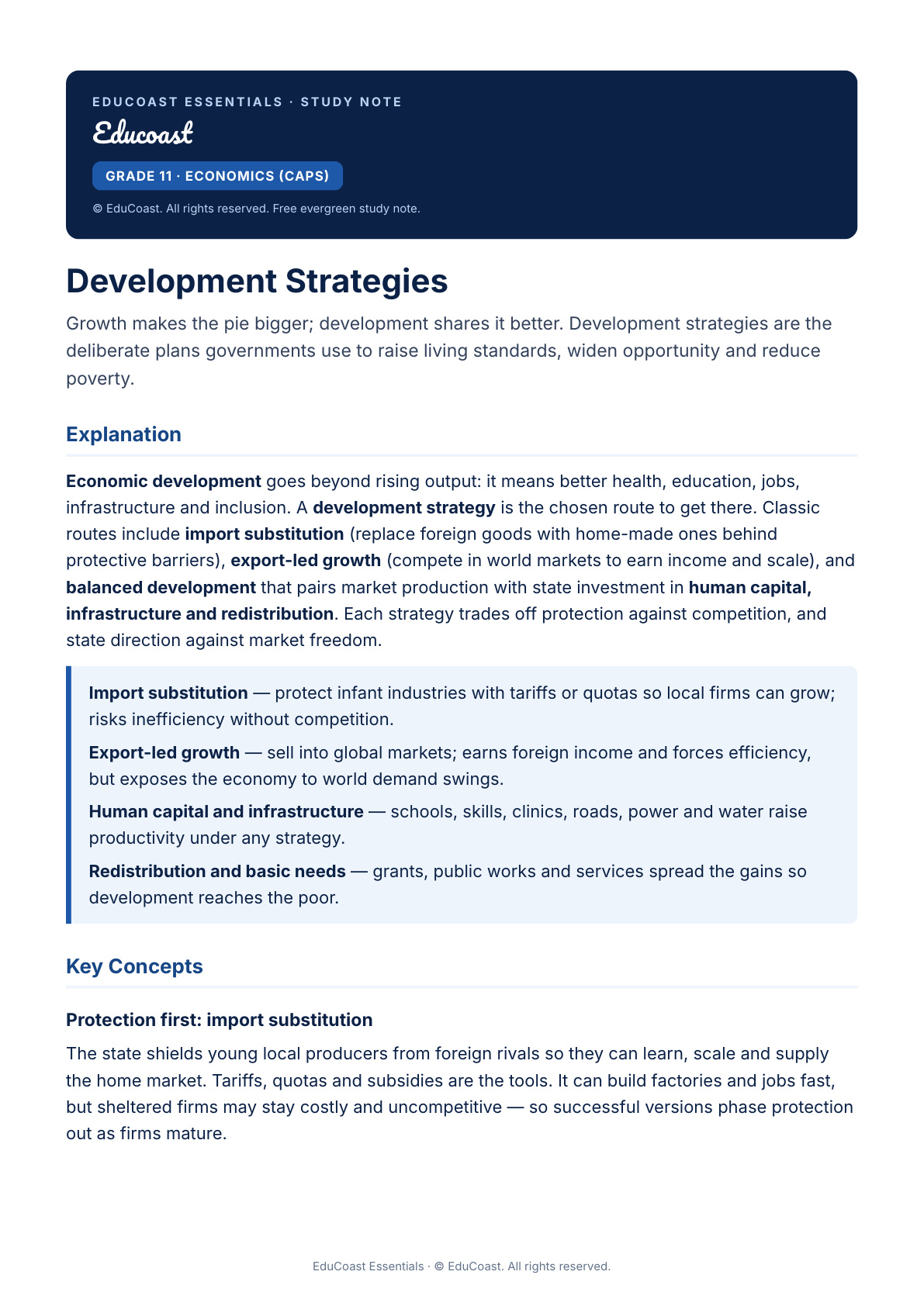Development Strategies — Grade 11 Economics (CAPS)