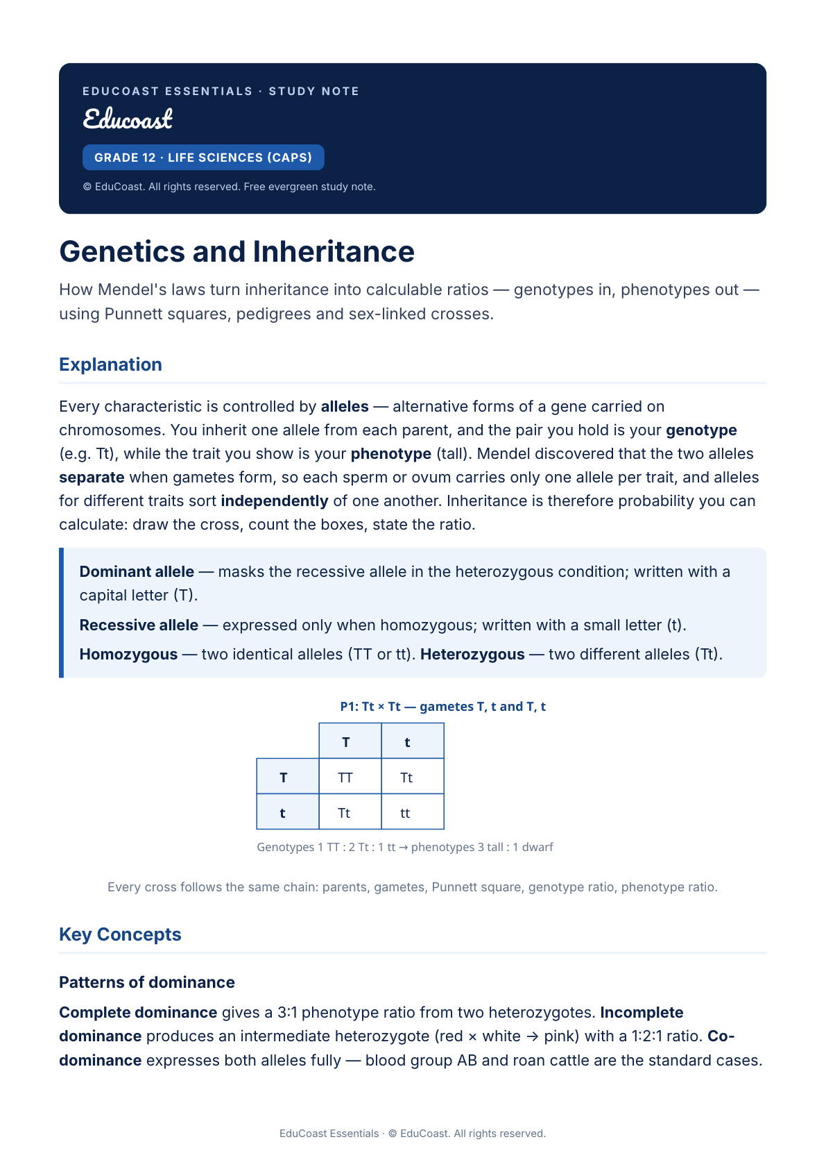Genetics And Inheritance — Grade 12 Life Sciences (Caps)
