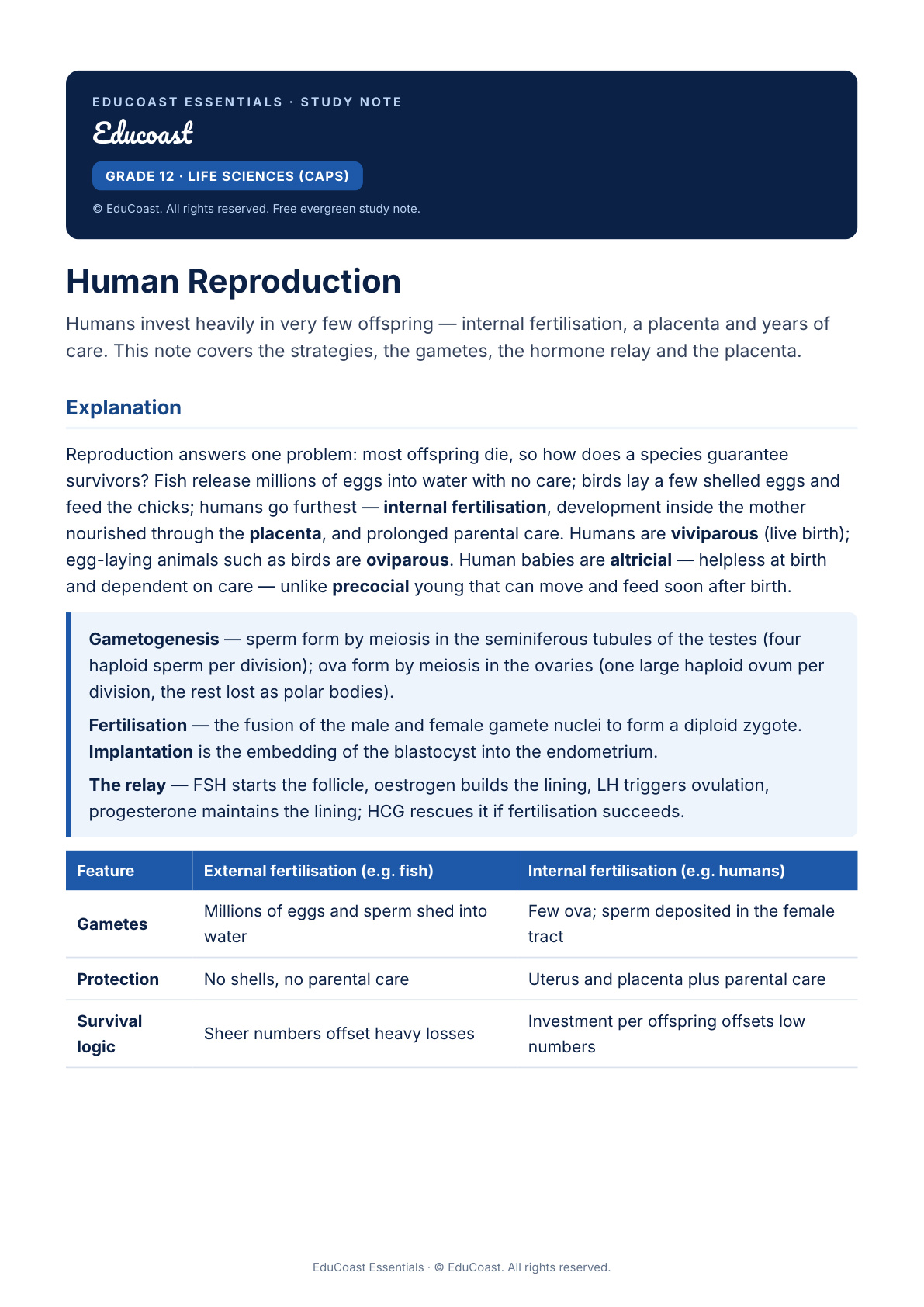 Human Reproduction — Grade 12 Life Sciences (Caps)