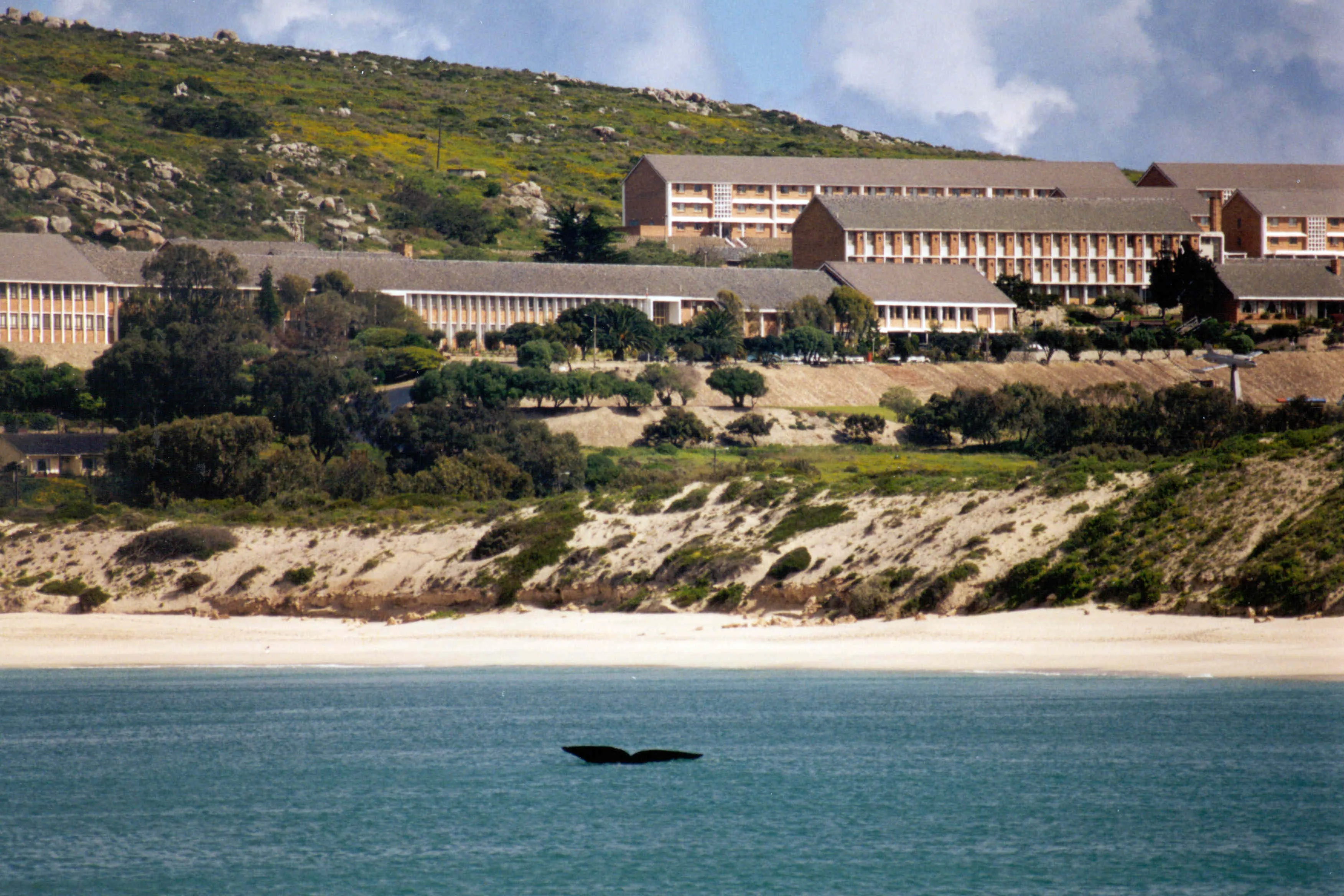 View full image Stellenbosch University (SU) Campuses: Complete List and Locations