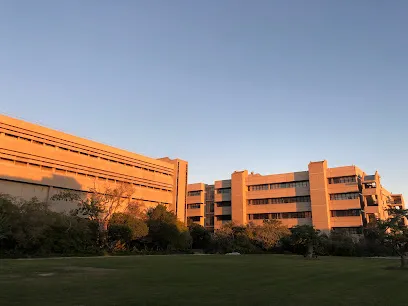 Nelson Mandela University campuses: complete list and locations banner