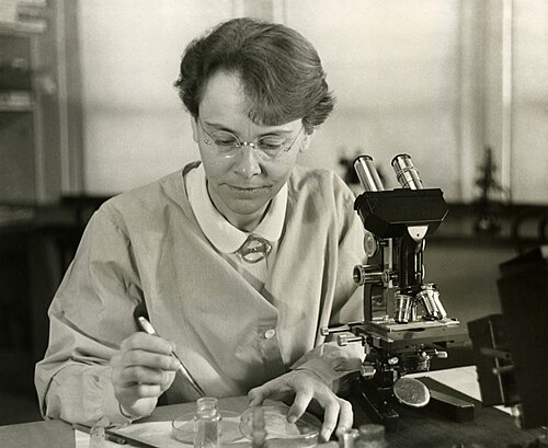 Barbara McClintock Biography